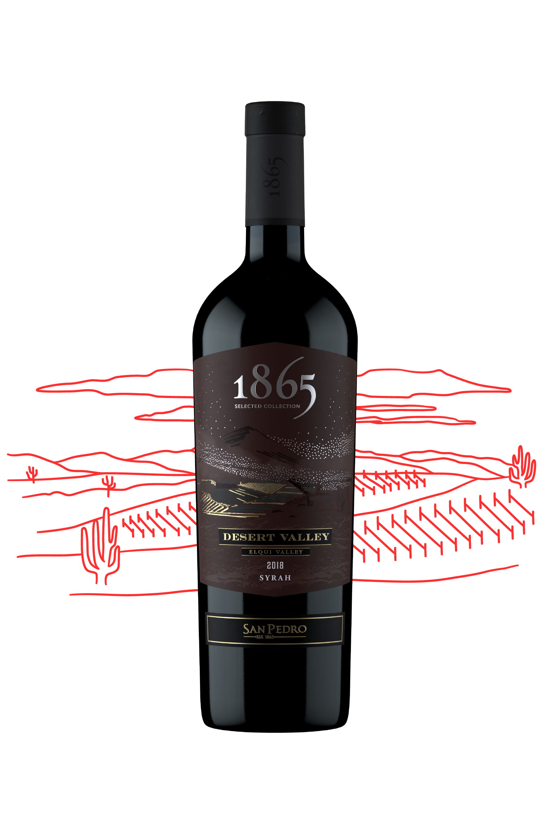 「1865 Desert Valley Syrah（サン・ペドロ）ギフトセット 1865 Selected Collection Desert Valley Syrah – Picks & Corks