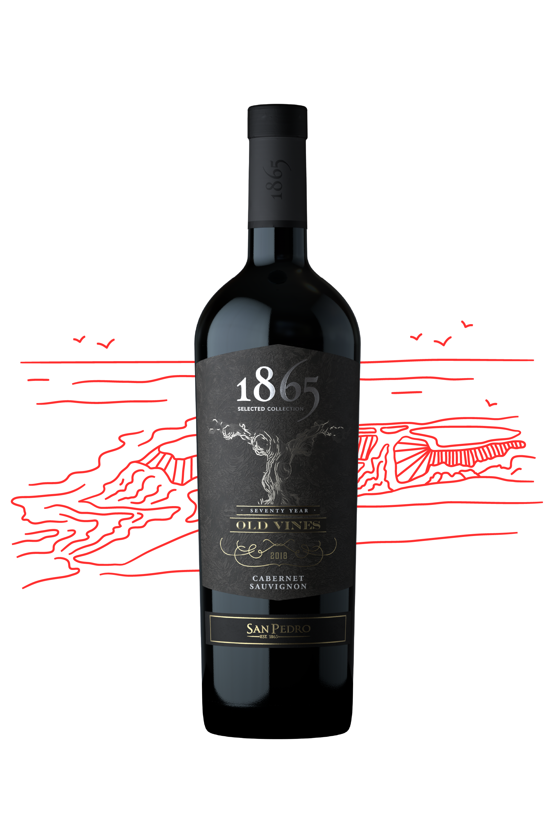 1865 Selected Collection Old Vines Cabernet Sauvignon – Picks & Corks