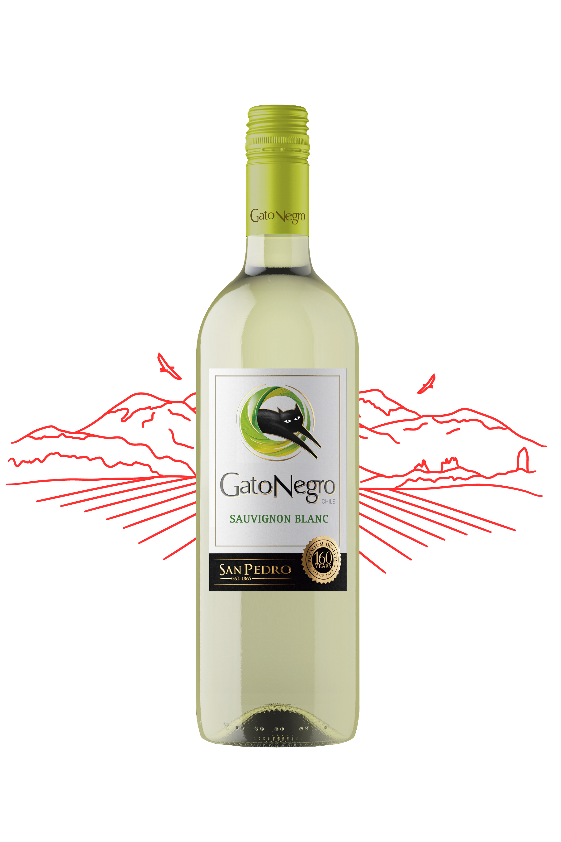 Gato Negro Sauvignon Blanc – Picks & Corks