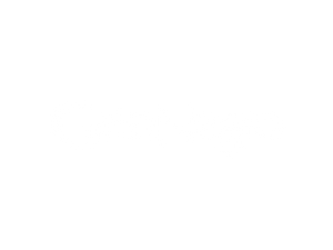 Gato Negro