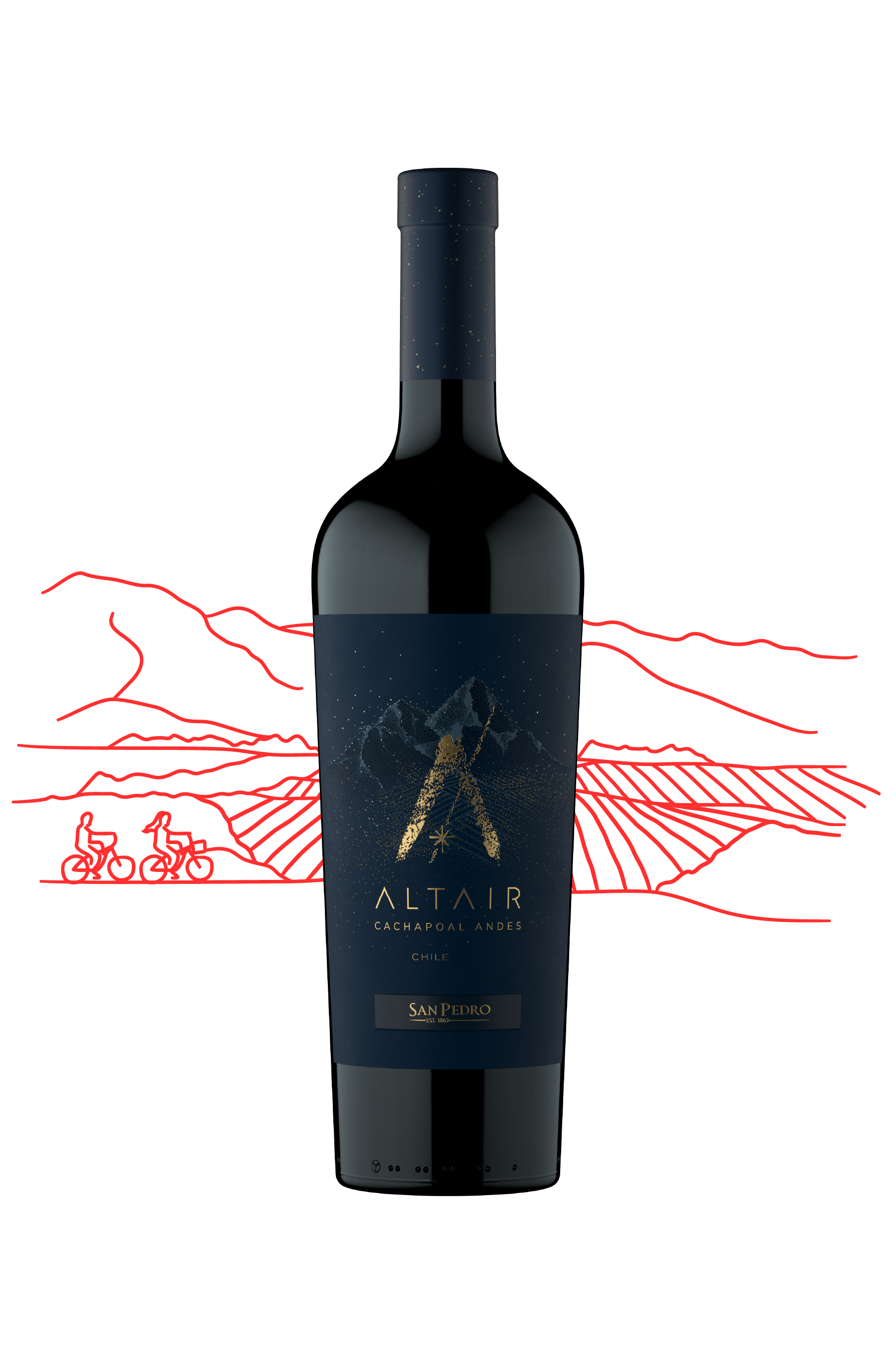 San Pedro Altair – Picks & Corks